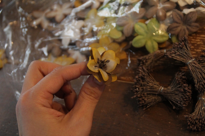 f:id:zappa38:20141031191546j:image