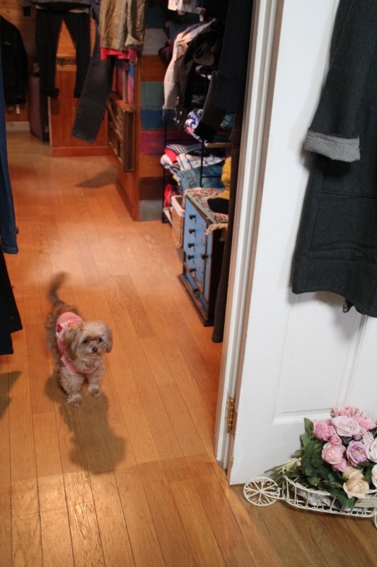 f:id:zappa38:20141031191701j:image