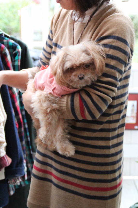 f:id:zappa38:20141031191807j:image