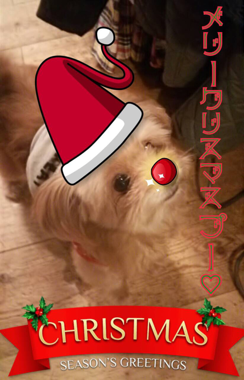 f:id:zappa38:20141224190504j:image