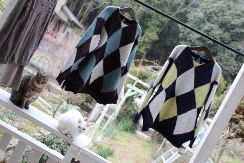 f:id:zappa38:20141224191027j:image