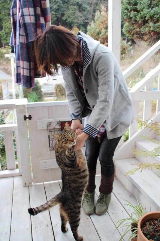 f:id:zappa38:20141225191353j:image