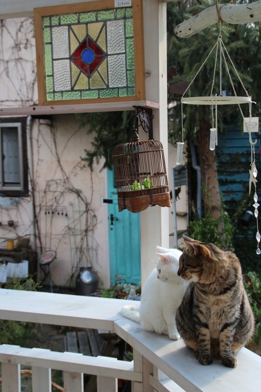 f:id:zappa38:20141225191459j:image