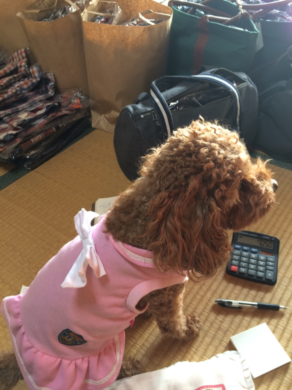 f:id:zappa38:20141225214132j:image:h780