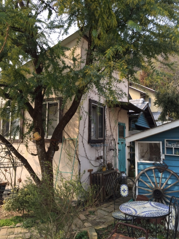 f:id:zappa38:20150215212846j:image