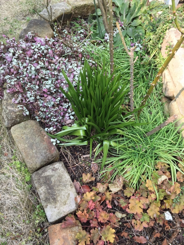 f:id:zappa38:20150215213029j:image