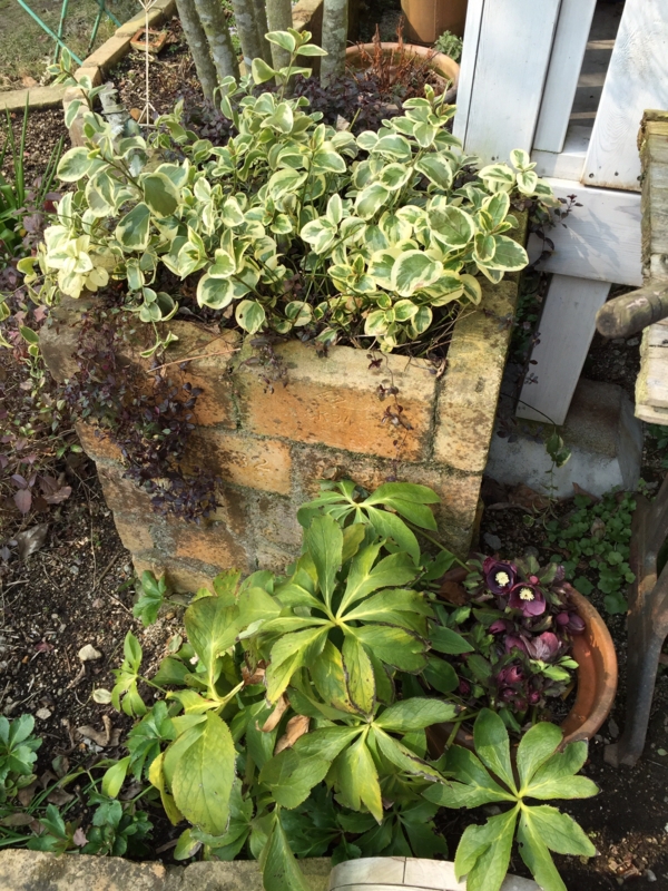 f:id:zappa38:20150215213141j:image