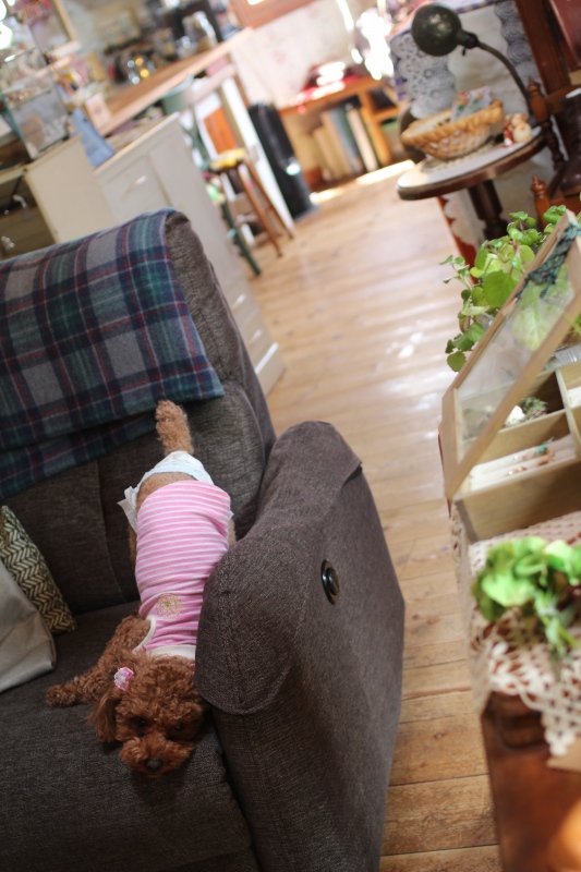 f:id:zappa38:20150220195740j:image