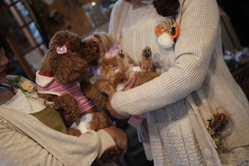 f:id:zappa38:20150220202317j:image