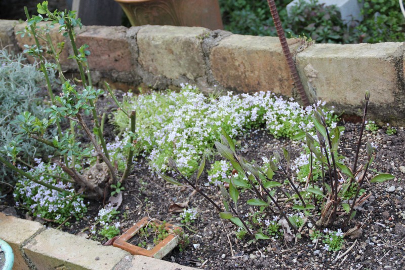 f:id:zappa38:20150322202045j:image