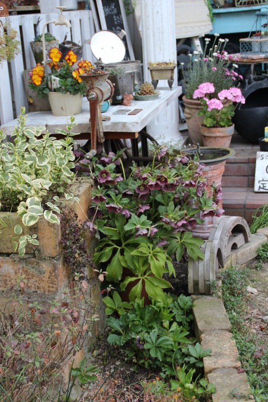 f:id:zappa38:20150322202046j:image