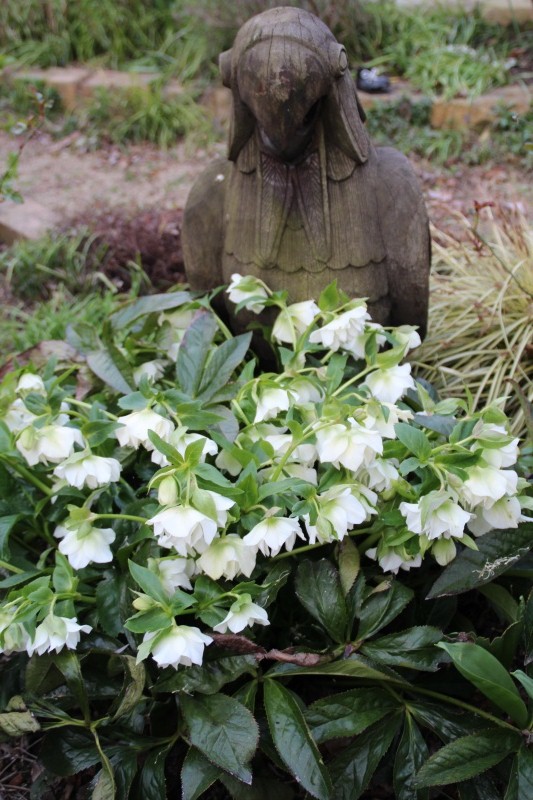 f:id:zappa38:20150322202048j:image