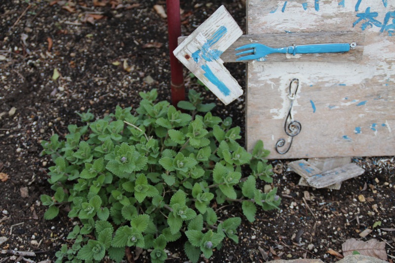 f:id:zappa38:20150322202239j:image