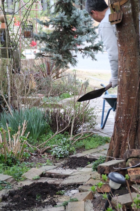 f:id:zappa38:20150322202241j:image