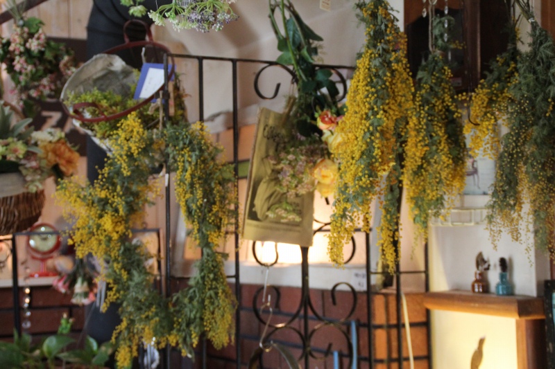 f:id:zappa38:20150327185145j:image