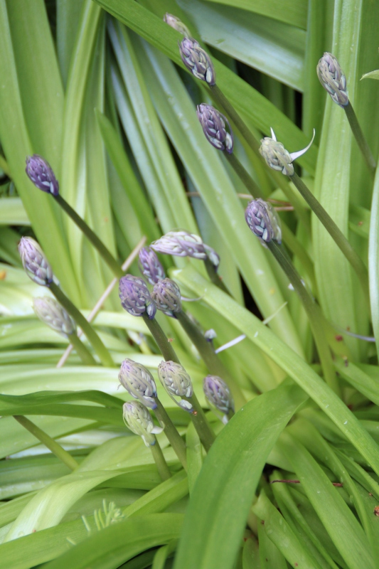 f:id:zappa38:20150415180149j:image