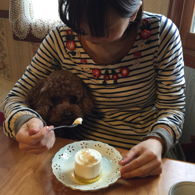 f:id:zappa38:20150415182302j:image:h800