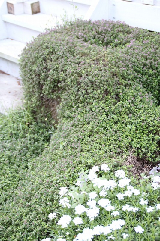 f:id:zappa38:20150417212831j:image