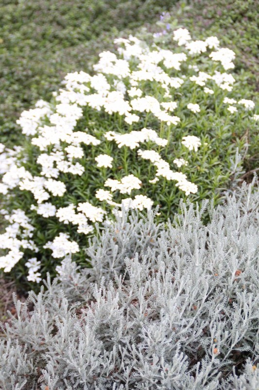 f:id:zappa38:20150417212832j:image