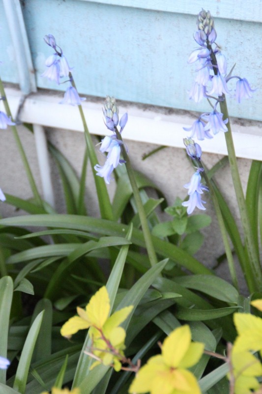 f:id:zappa38:20150417212833j:image