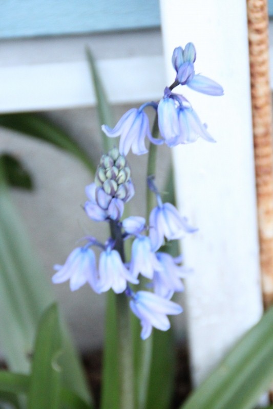 f:id:zappa38:20150417212834j:image