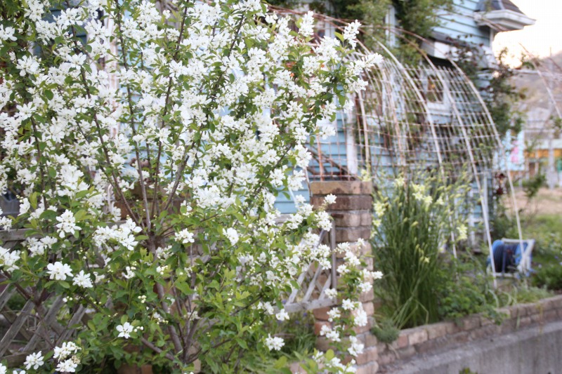 f:id:zappa38:20150417212841j:image