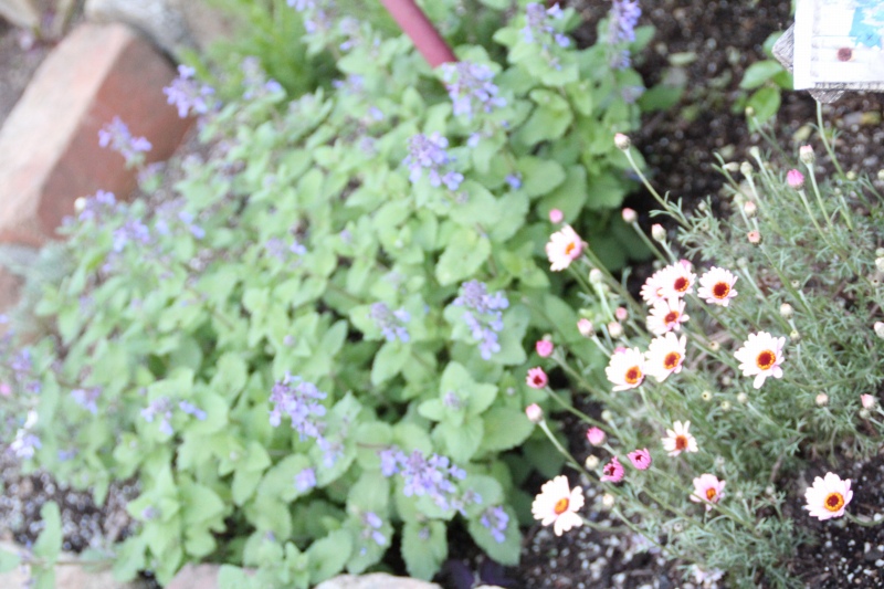 f:id:zappa38:20150417212842j:image