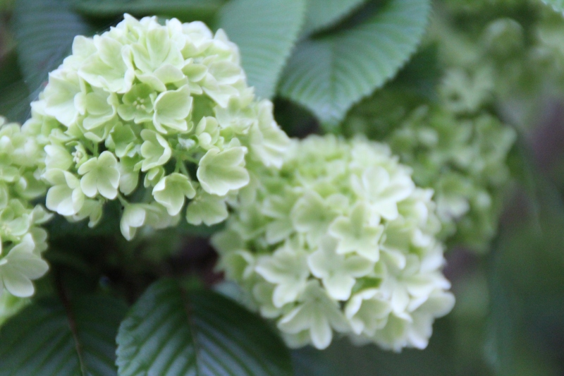 f:id:zappa38:20150423204456j:image