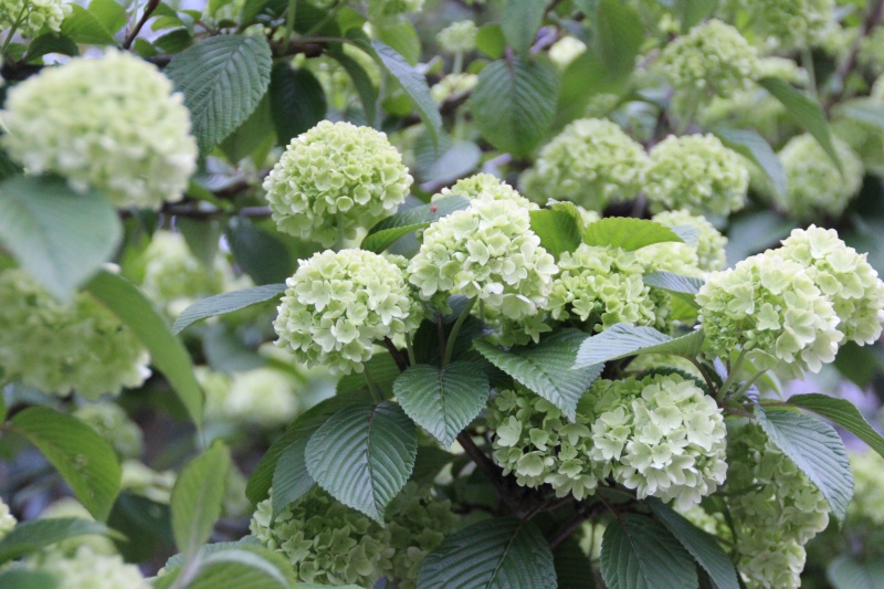 f:id:zappa38:20150423204457j:image