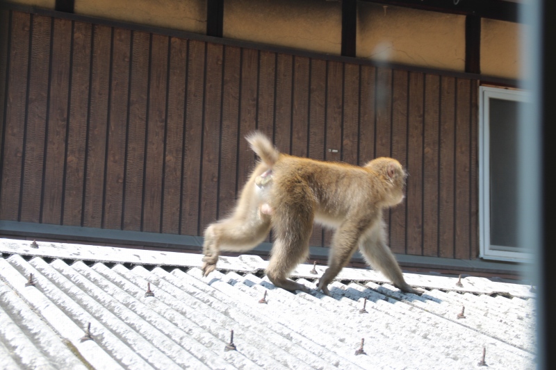 f:id:zappa38:20150427175616j:image