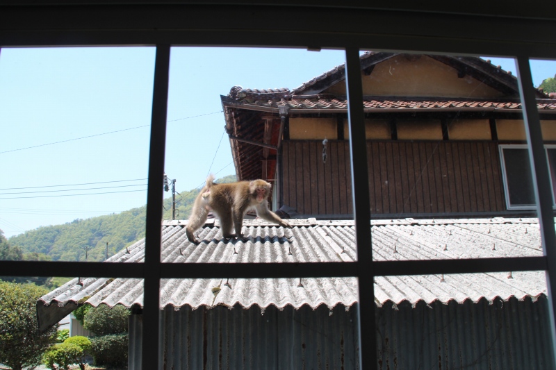 f:id:zappa38:20150427175618j:image