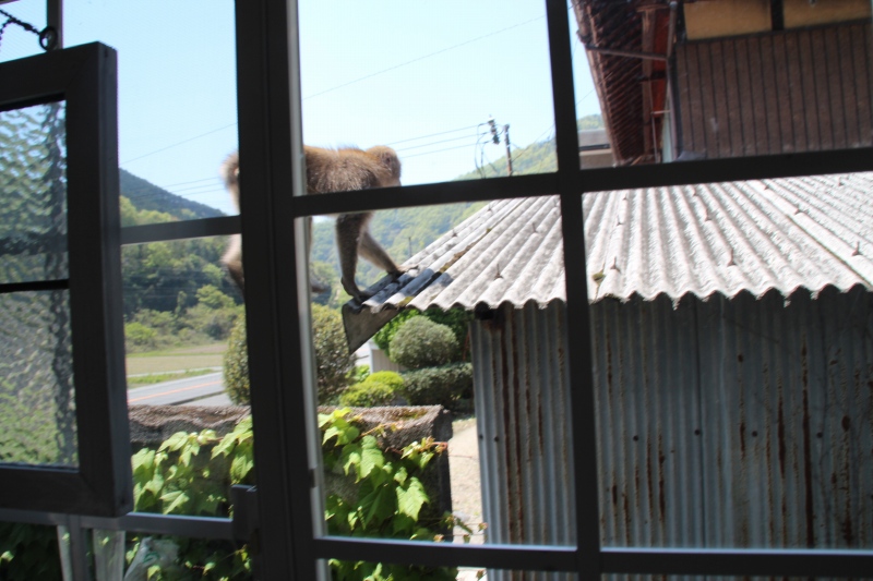 f:id:zappa38:20150427175619j:image