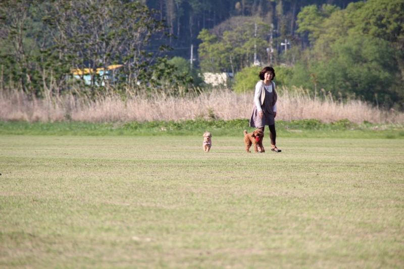 f:id:zappa38:20150427175720j:image