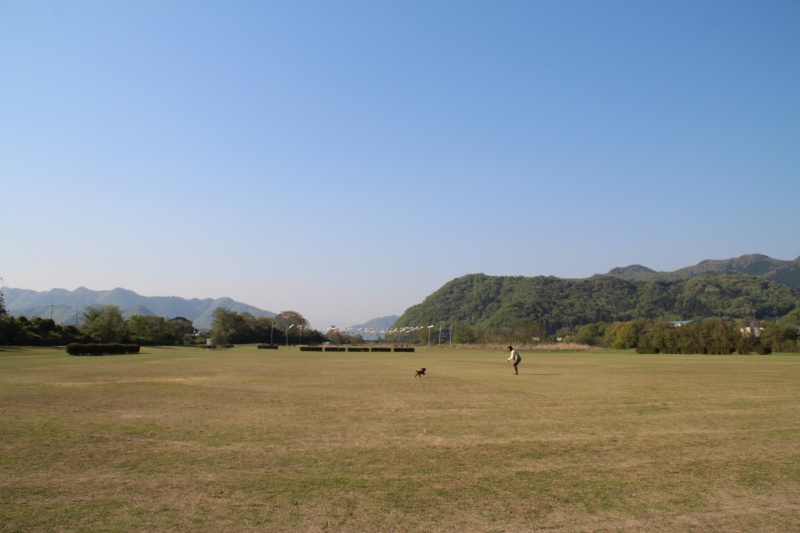 f:id:zappa38:20150427175722j:image