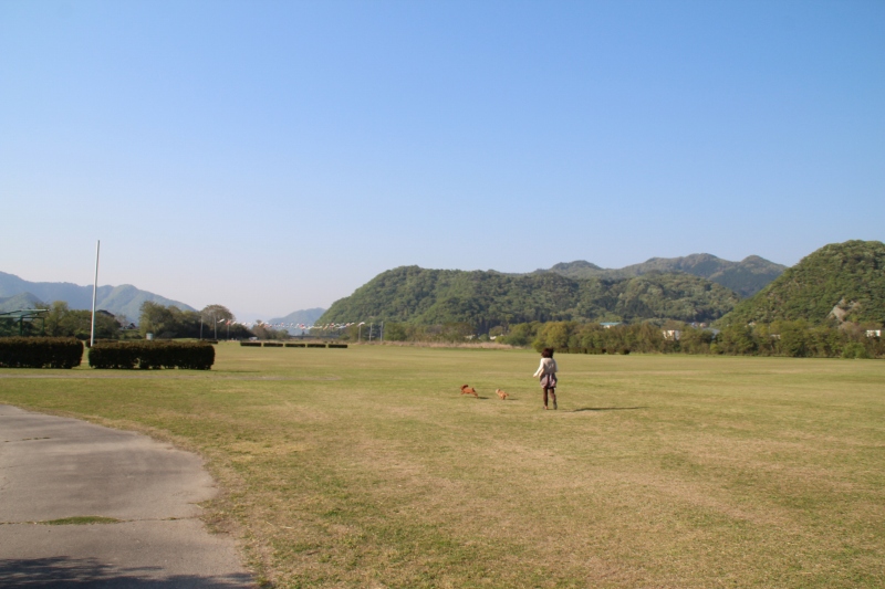 f:id:zappa38:20150427175724j:image