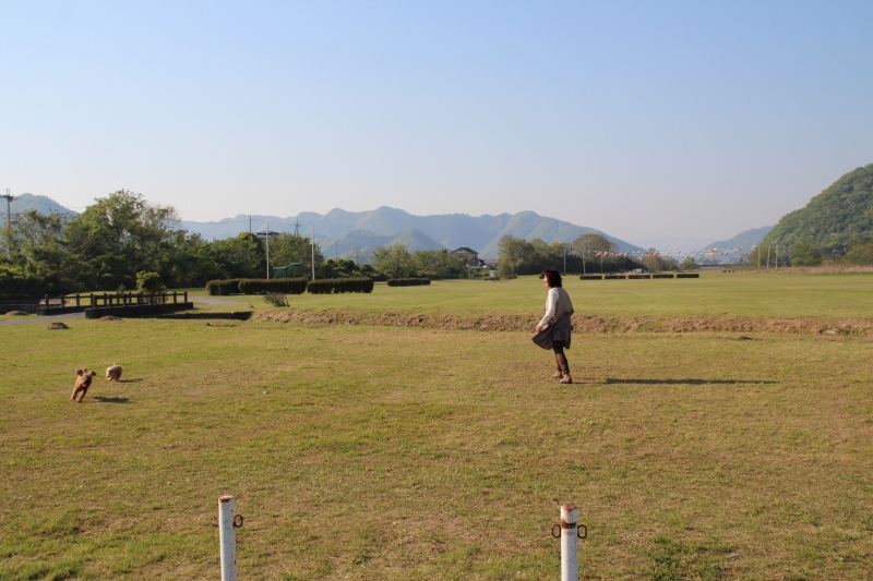 f:id:zappa38:20150427175725j:image