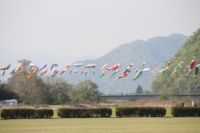 f:id:zappa38:20150427175901j:image