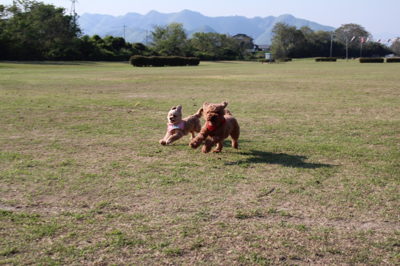 f:id:zappa38:20150427175905j:image