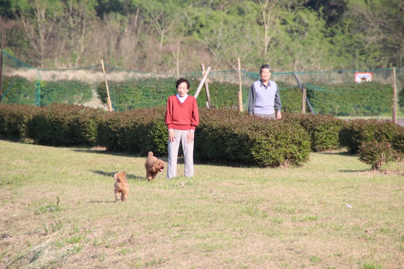 f:id:zappa38:20150427180037j:image