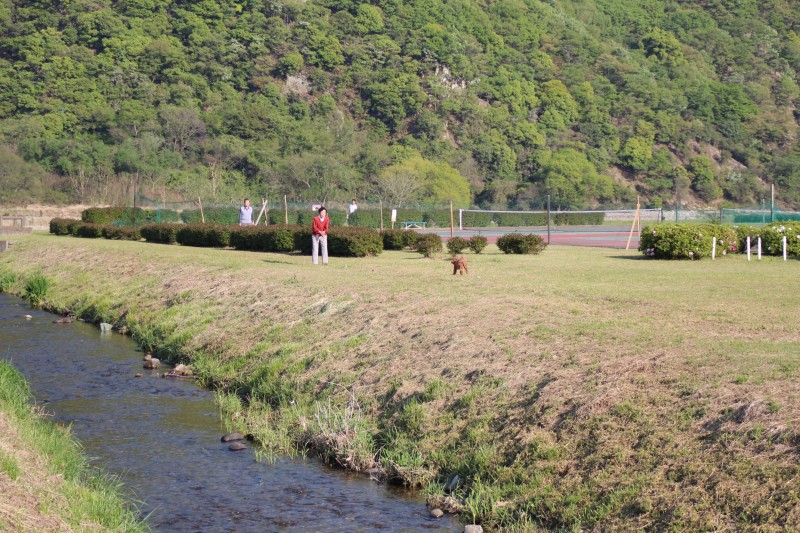 f:id:zappa38:20150427180038j:image