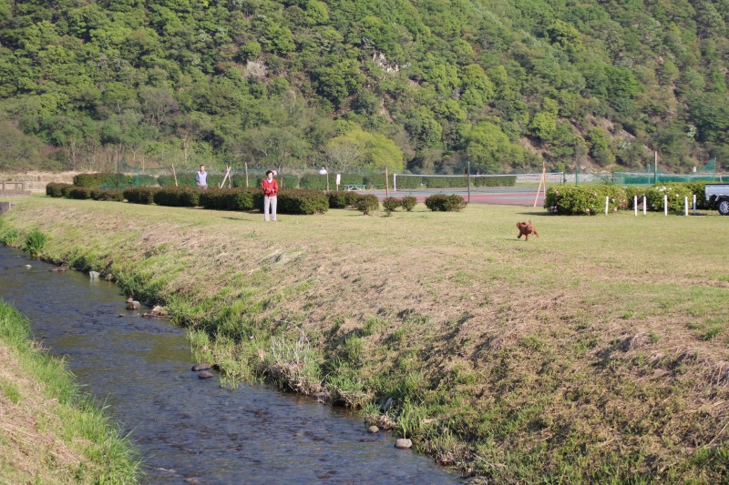 f:id:zappa38:20150427180039j:image