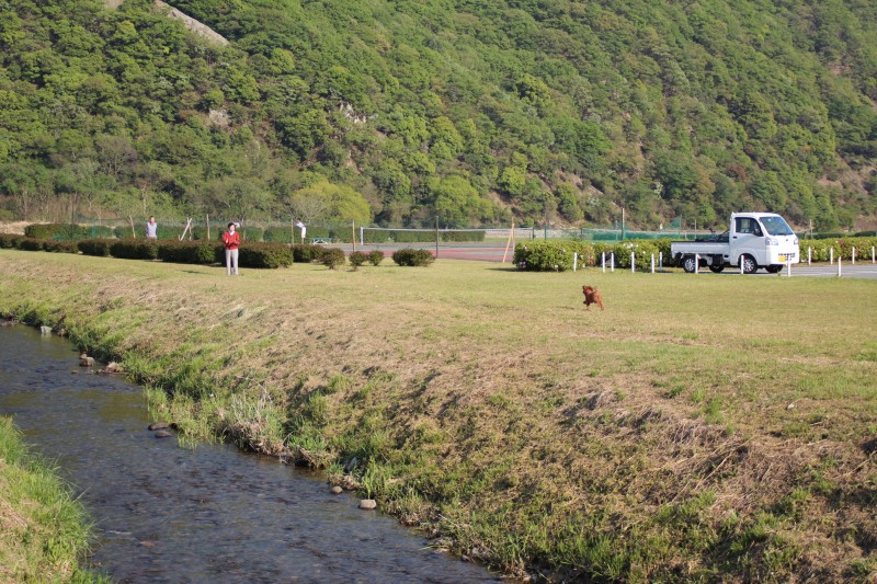 f:id:zappa38:20150427180041j:image