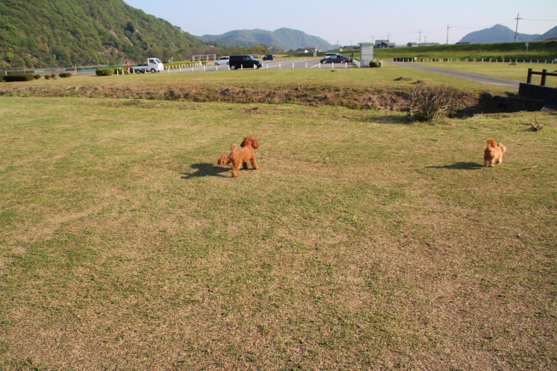 f:id:zappa38:20150427180044j:image