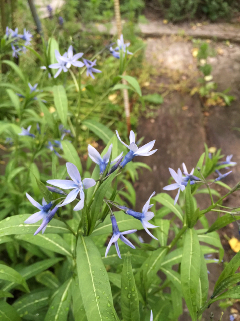 f:id:zappa38:20150428191829j:image:h800