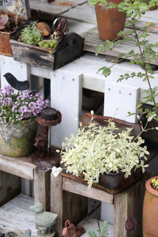 f:id:zappa38:20150428215547j:image