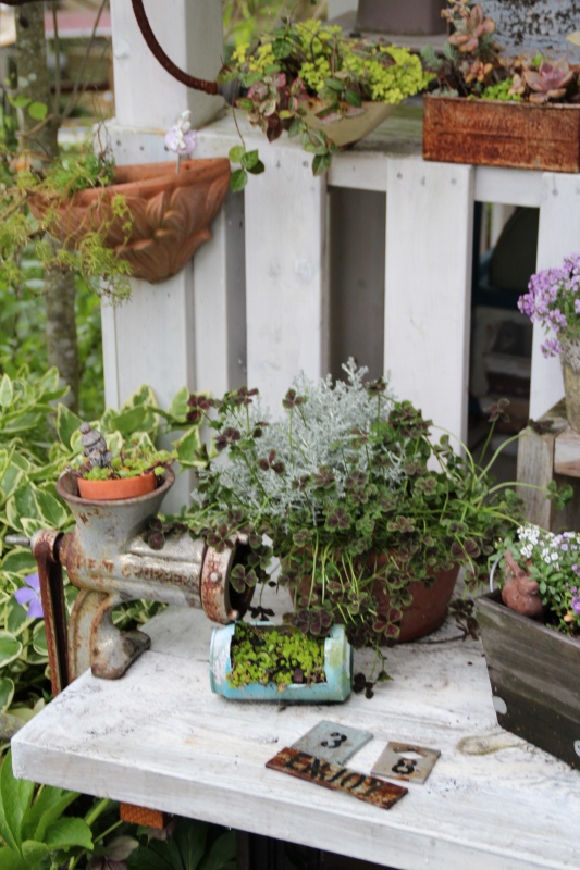 f:id:zappa38:20150428215548j:image