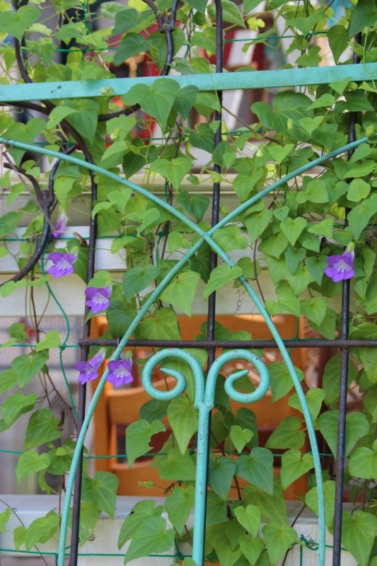 f:id:zappa38:20150913193659j:image