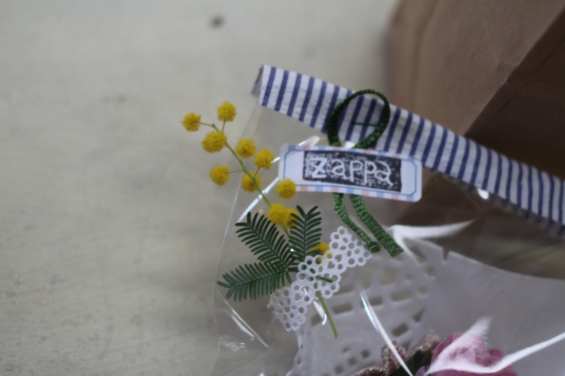 ムササビでスカイダイビング Zappaのスタッフブログ