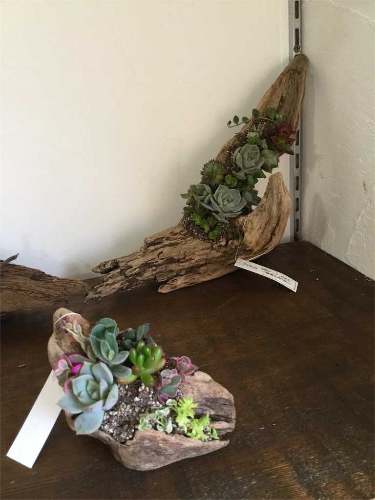 f:id:zappa38:20160801180835j:image