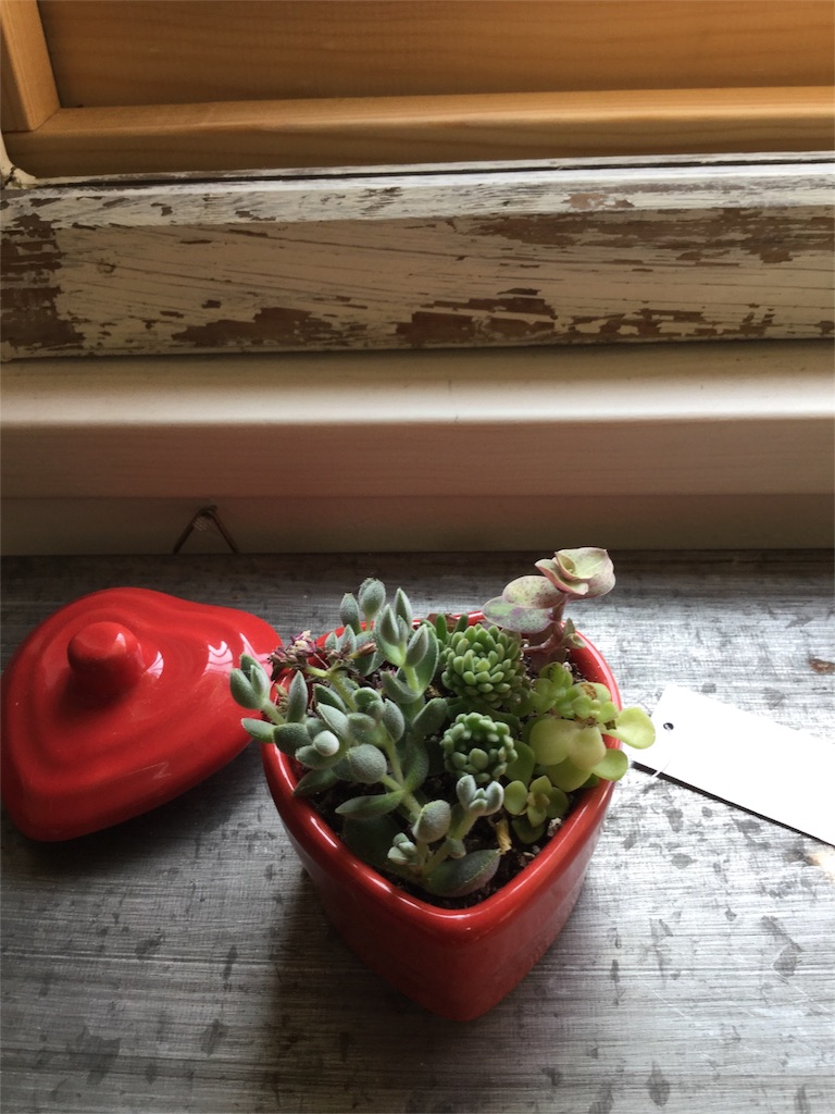 f:id:zappa38:20160801180859j:image